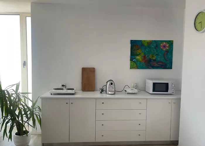 Urban Comfort Oasis Apartment *